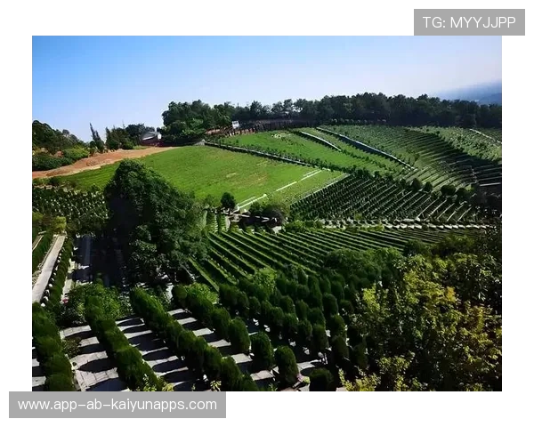 高原牧马节激战,登山运动逐步走向国际舞台,牧马山在哪儿